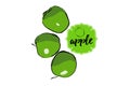 Three cartoon drawn green apples sketch silhouette.s isolated on white. Royalty Free Stock Photo