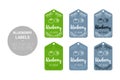 Blueberry fruit Natural store labels set in green, blue colors.