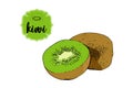 Cartoon drawn kiwi fruit isolated on white. Green retro store label badge Royalty Free Stock Photo