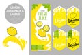 lemon juice pack and organic fruit labels tags. Colorful tropical stickers. Juicy exotic fruit badges with splashes.