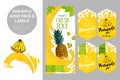 Pineapple juice pack and organic fruit labels tags. Colorful tropical stickers.