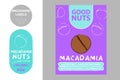 Macadamia nuts colorful labels. Cartoon hand drawn nuts. Nut product Badge with text: gluten free, low glycemic index,