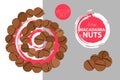 Spiral of macadamia nuts. Isolated hand drawn nuts. Raw macadamia nut colorful label