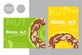 Semicircle of brazil nuts on colorful background. Creative colorful brazil nut labels with hand drawn typography