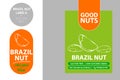 Brazil nut labels with colorful elements. Cartoon drawn nuts. Nut product Badge