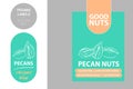 Pecan nuts labels with colorful elements. Cartoon drawn pecans product Badge