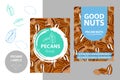 Pecan nuts labels with brush stroke elements and cartoon drawn pecans texture.