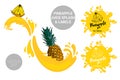 Pineapple on juice splashes. Organic fruit labels tags and pineapple juice text. Colorful tropical fruit stickers.