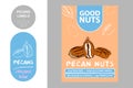 Pecan nuts labels with brush stroke elements. Cartoon drawn pecans. product Badge