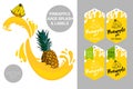 Cartoon pineapple cut with juice splashes. Organic fruit labels tags. Colorful tropical stickers. Royalty Free Stock Photo