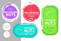 Macadamia nuts colorful label set. Raw organic nuts Badge shapes. Creative Nut tags.