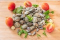 Food image of a bunch of cockles. Lupins Clams and Pipi Cockles on a woody cutting board. Royalty Free Stock Photo