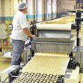 Food industry - biscuit production in a factory on a conveyor be Royalty Free Stock Photo