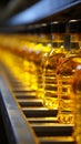 Food industry conveyor line efficiently bottling refined sunflower oil from sunflower seeds