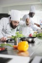 Food industry workers preparing delicious meal using organic vegetables in restaurant kitchen. Royalty Free Stock Photo