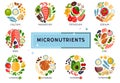 The food infographic about micronutrients, vitamins, design template Royalty Free Stock Photo