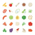 Food Ingredients Icon Pack