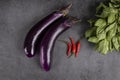 Food and Ingredients: Two Chinese Eggplants, Hot Red Chili Peppers and Sweet Thai Basil Royalty Free Stock Photo