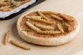 Food insects: Bamboo worm for eating as food. Bakery baked bread made of cooked insect and bamboo caterpillar in baking tray on
