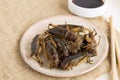 Food Insects: Crickets insect fried crispy for eating as food items is good source of meal high protein edible in plate with