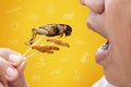 Food Insects: Man eating Bamboo Worms and Crickets insect deep-fried for eat as food snack and symbol icons media nutrition, it is Royalty Free Stock Photo