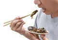 Food Insects: Man eating Cricket insect on chopsticks. Crickets deep-fried crispy for eat as food snack, it is good source of