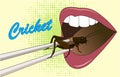 Food Insects. Mouth eating Cricket insect on chopsticks. Crickets insects for eating as food deep-fried crispy snack for take out