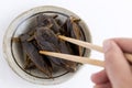 Food Insects: Woman hand holding Giant Water Bug is edible insect for eating as food Insects deep-fried crispy snack with