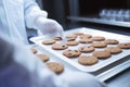 Food inspector in lab coat examining freshly baked chocolate chip cookies on a tray in a sterile environment. Royalty Free Stock Photo