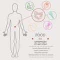 Food for intestines