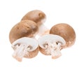 Some Mushrooms on white background