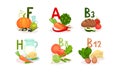 Food Items Separated by Main Vitamin Groups Vector Set