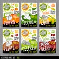 Food label set stickers collection vegetable labels spices package design. Pumpkin, zucchini, corn, celery, potato, beans. Royalty Free Stock Photo