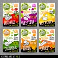 Food label set stickers collection vegetable labels spices package design. Tomatoes, beetroot, bell pepper, cucumber, onion Royalty Free Stock Photo