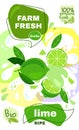 Food label template. vector illustration for organic lime milkshake fruit drink. natural bio fruits package design. ripe lime