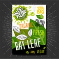 Food labels stickers set colorful sketch style fruits, spices vegetables package design. Bay leafs herbs. Vegetable label. Royalty Free Stock Photo