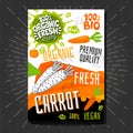 Food labels stickers set colorful sketch style fruits, spices vegetables package design. Carrot. Vegetable label.