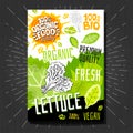 Food labels stickers set colorful sketch style fruits, spices vegetables package design. Parsley. Vegetable label.