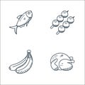 food line icons. linear set. quality vector line set such as chicken, banana, skewers