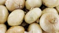 Food Lion Grocery store fresh Visalia onions in a pile on display