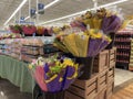 Food Lion Grocery store interior Easter display