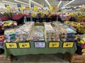 Food Lion Grocery store interior large Easter display