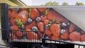 Food Lion grocery store semi truck at dock strawberry graphics Royalty Free Stock Photo