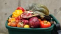 Food loss at the farm or market. Spoiled unsold rotten fruits in the trash. Discarded rotten fruits and vegetables