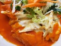 chilaquiles in red sauce and salad with vegetables, typical mexican food Royalty Free Stock Photo