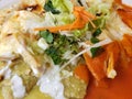 dish with chilaquiles in green and red sauce, typical mexican food with a hot flavor Royalty Free Stock Photo