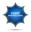 Food Manufacturing magical glassy sunburst blue button