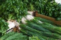 Food market, box of fresh, mixed herbs and spring onions Royalty Free Stock Photo