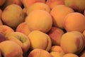 Local Food market in Valencia, Spain - yellow, red peaches Royalty Free Stock Photo