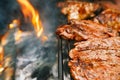 Food meat - chicken and beef on party summer barbecue grill Royalty Free Stock Photo